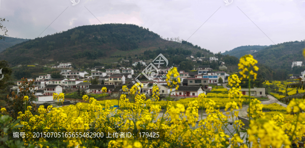 敘永縣落卜鎮(zhèn)硐坪油菜花接片大圖