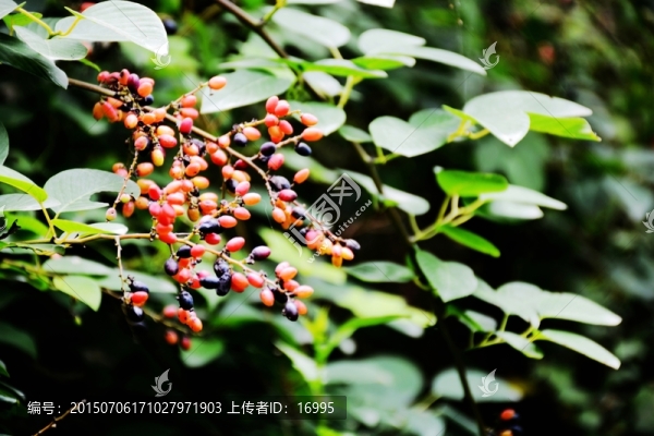 西狹頌風(fēng)景名勝區(qū)