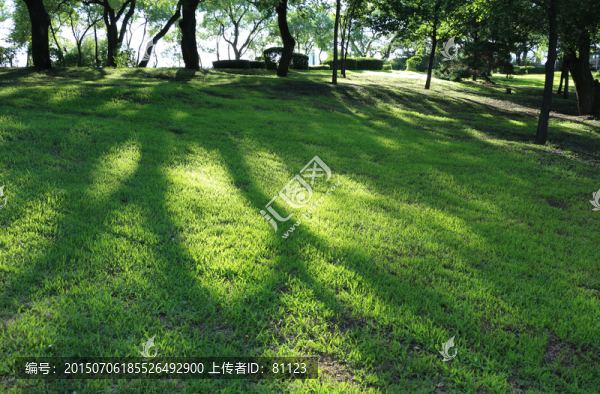 草地