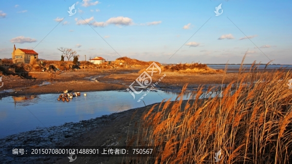 冬天的海邊濕地