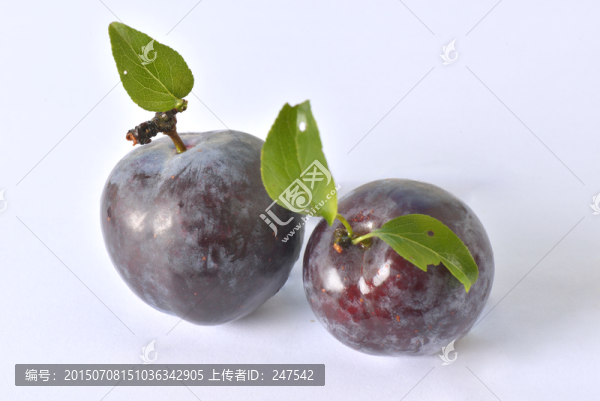 黑李子,黑布林