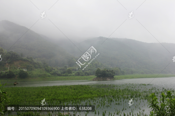 雨后田野