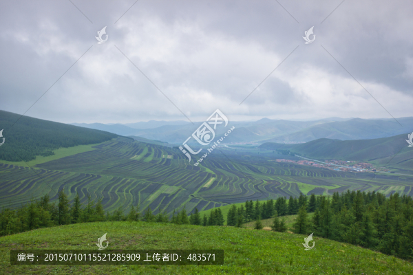 草原風(fēng)光