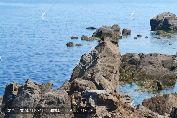 海洋,礁石