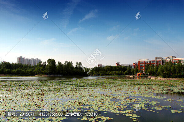 東北石油大學(xué),人工湖