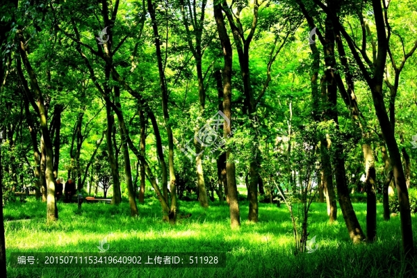 鳳凰山公園風(fēng)光