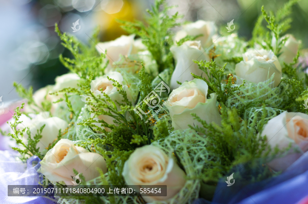 香檳玫瑰