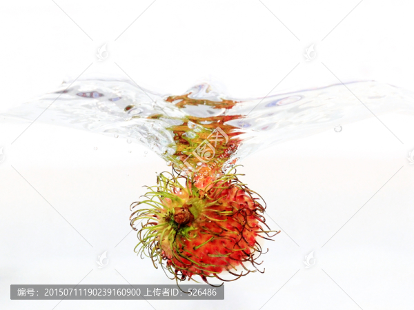 水中紅毛丹