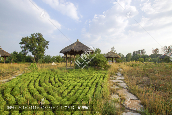 小茅屋