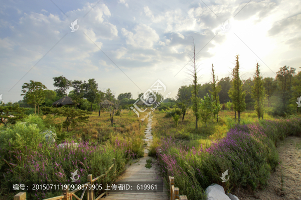 公園夏天