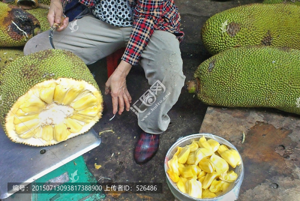 菠蘿蜜