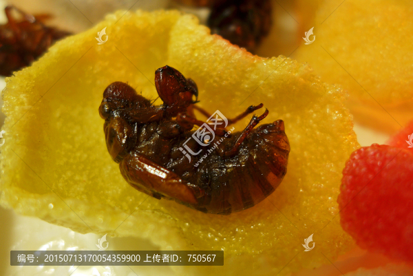 蠶蛹美食