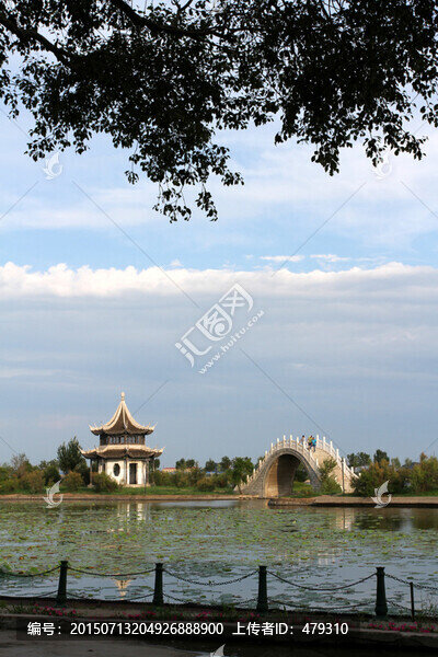 公園,湖水