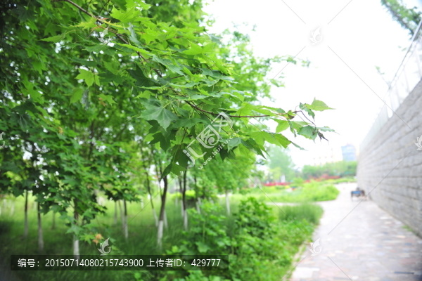 公園風景