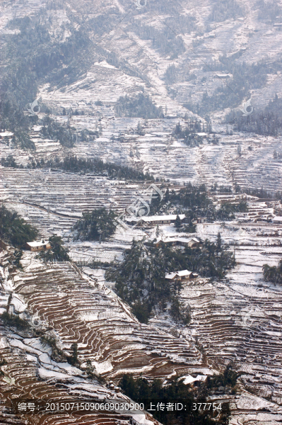 梯田雪景