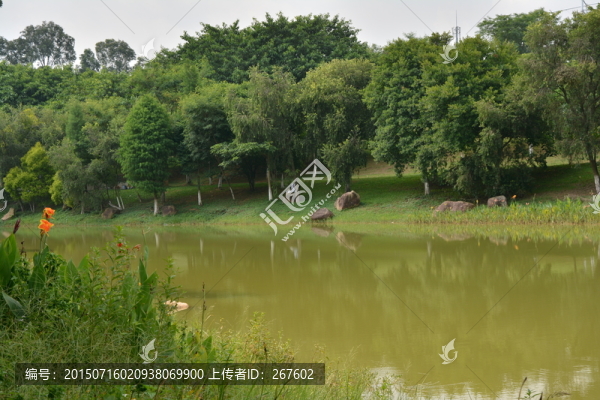樹林