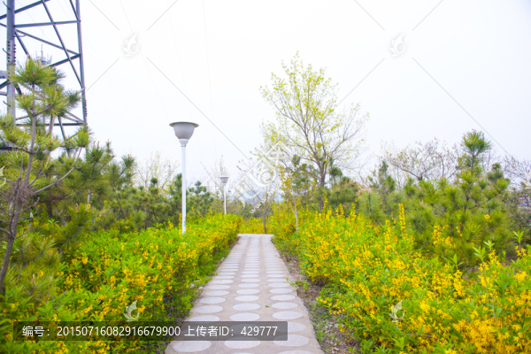 公園風(fēng)景