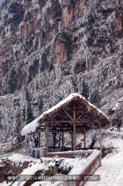 山野雪景
