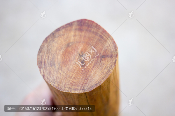 血龍木