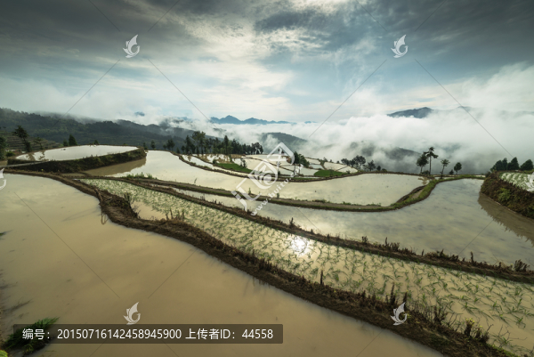 梯田