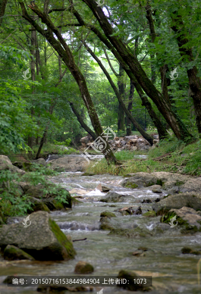 瑯琊山幽香谷溪流