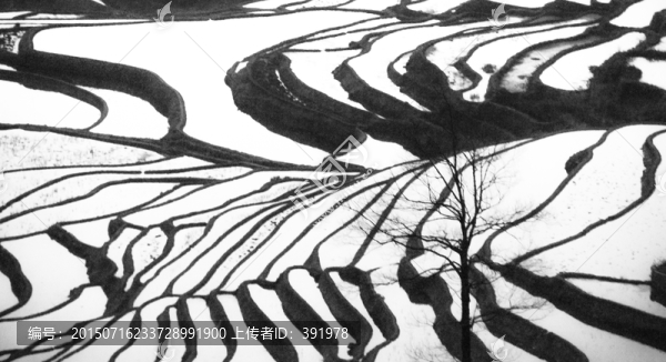 元陽梯田