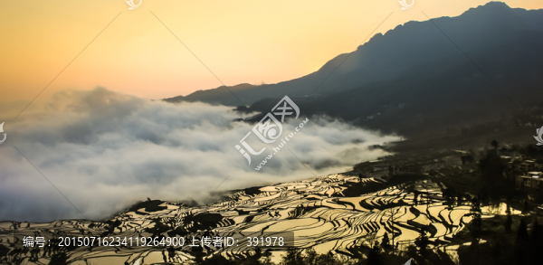 元陽(yáng)梯田