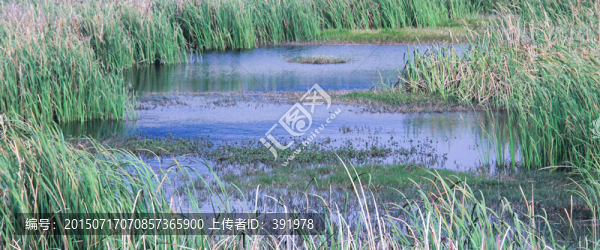 異龍湖
