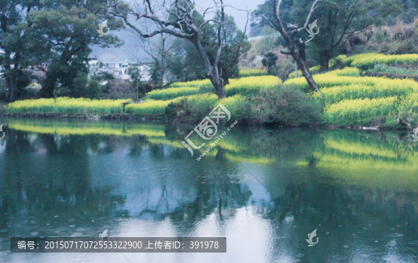 雨中的池塘