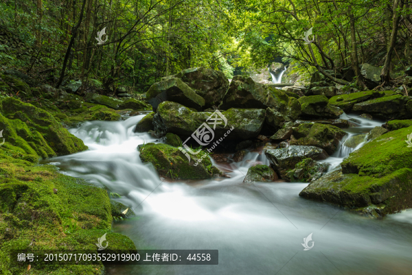流水,溪流