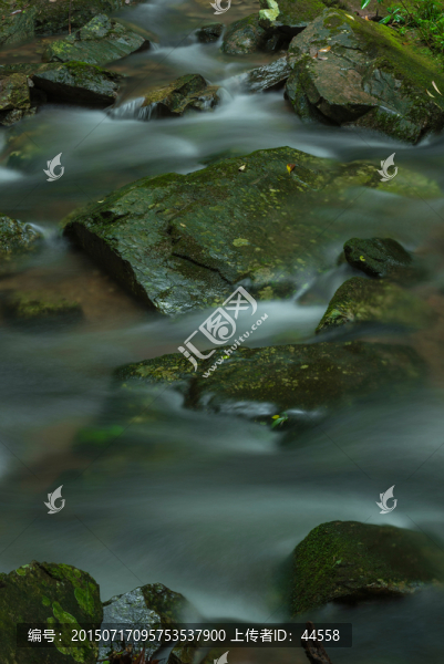 流水,青苔