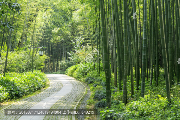 林蔭小道