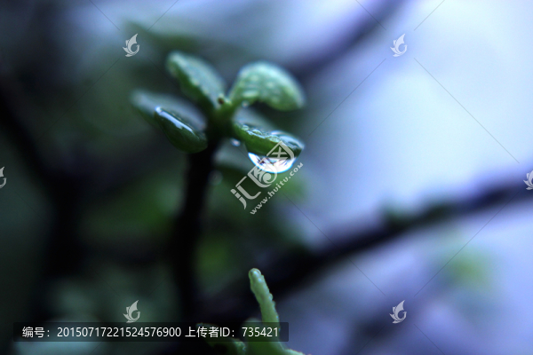 水珠