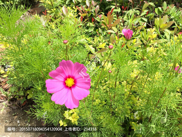花