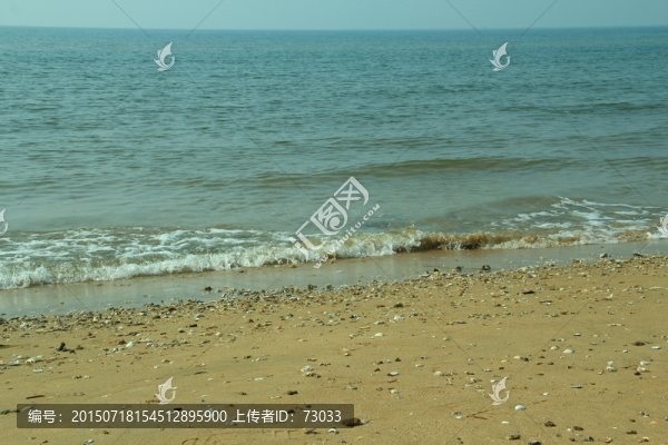 大海