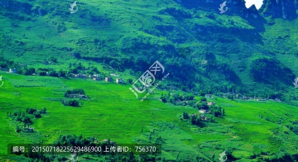 綠色梯田,山腳人家,興隆
