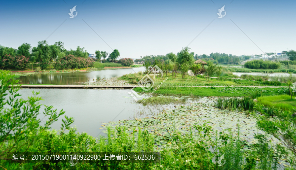 濕地公園