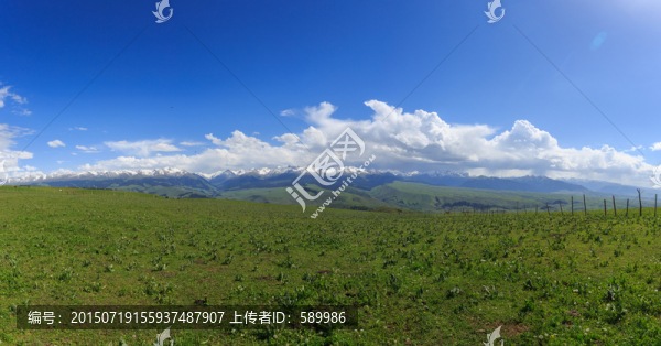 草原雪山風(fēng)光高清接片