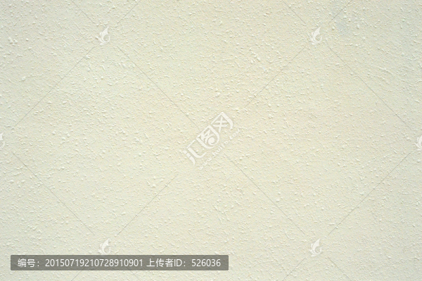 硅藻坭墻面