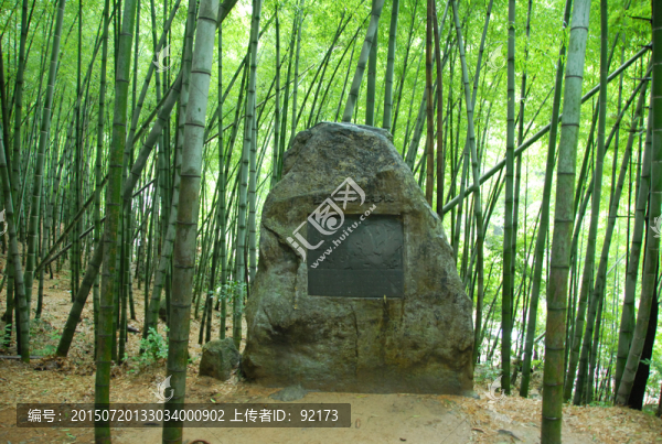 黃山翡翠谷竹海