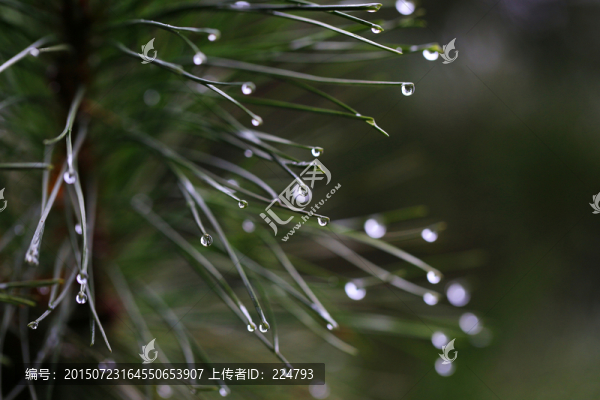 水滴