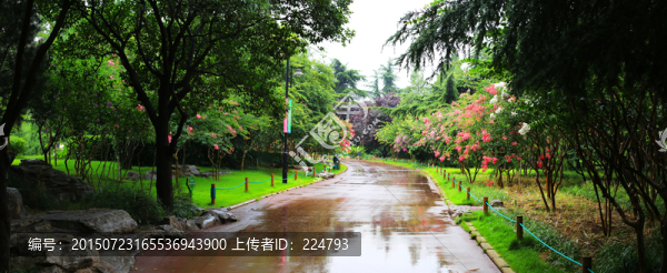 雨后的公園