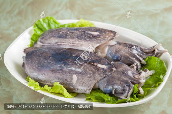 墨魚