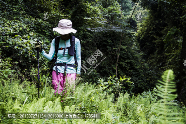 登山運(yùn)動