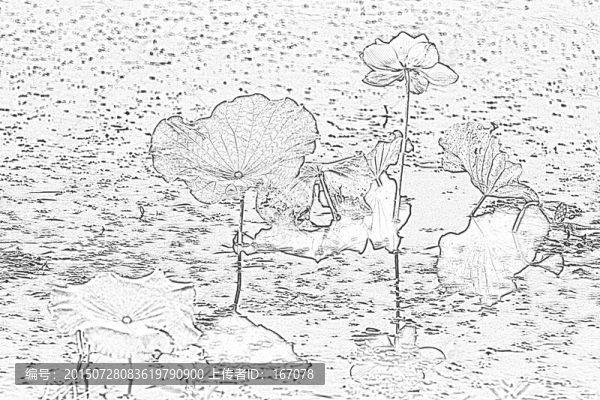 背景底紋,荷花素材