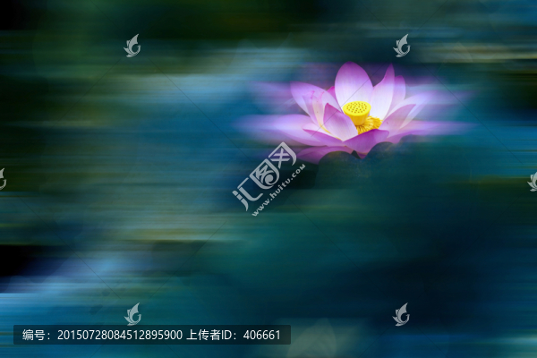 夢幻荷花