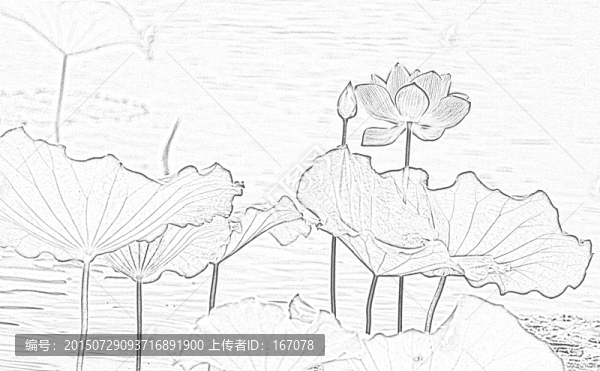 設(shè)計(jì)素材,荷花