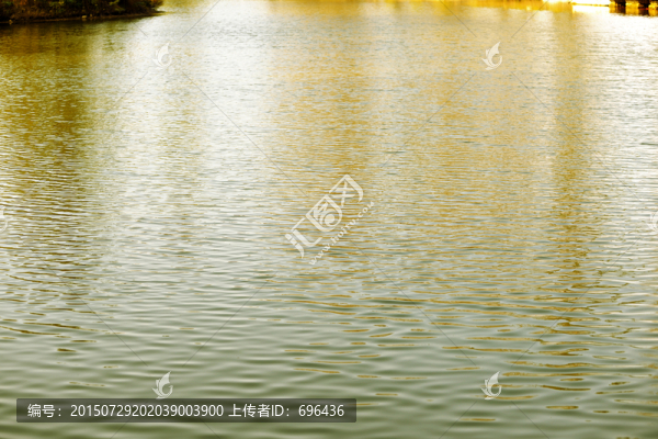 水波紋,秋天水紋