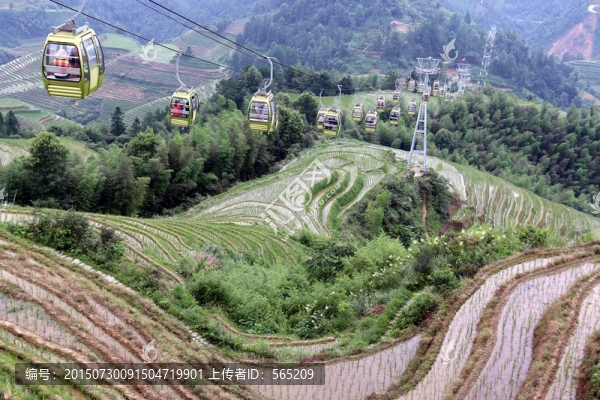 龍脊梯田