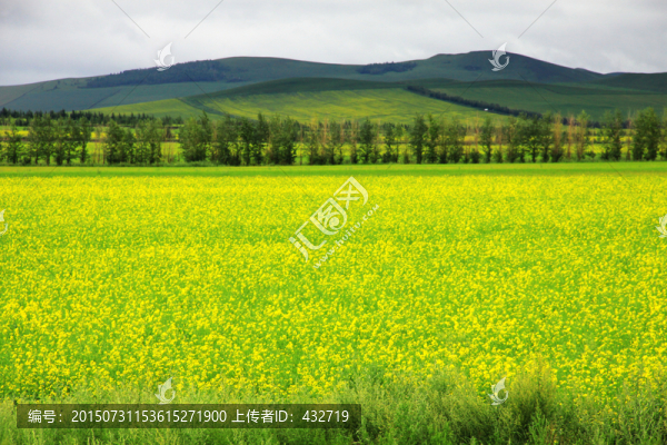 夏季大興安嶺農(nóng)場(chǎng)